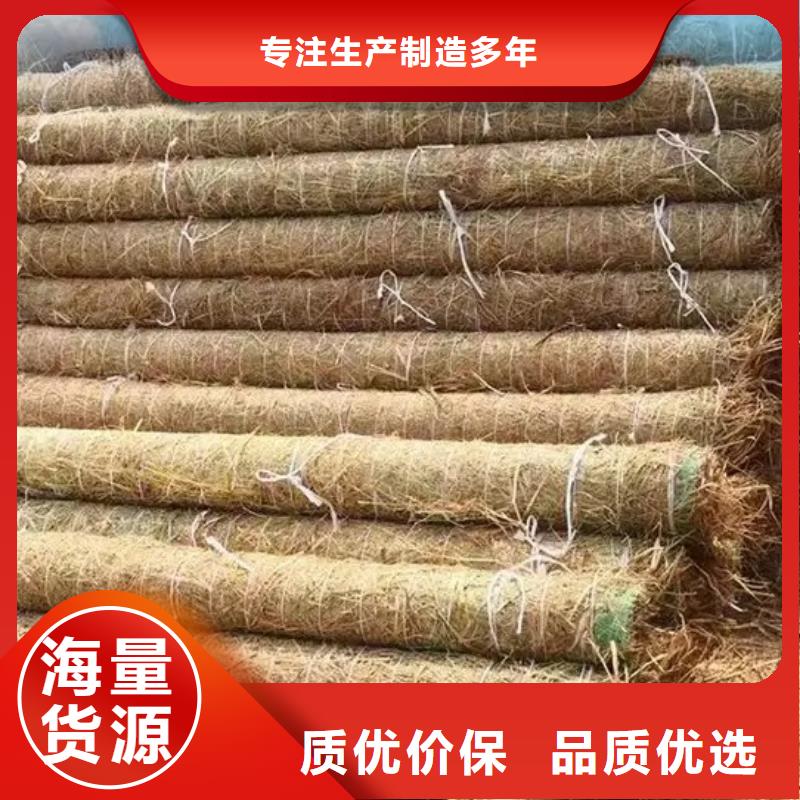 鑫海护坡植被植草毯源厂直接供货实体厂家厂家案例