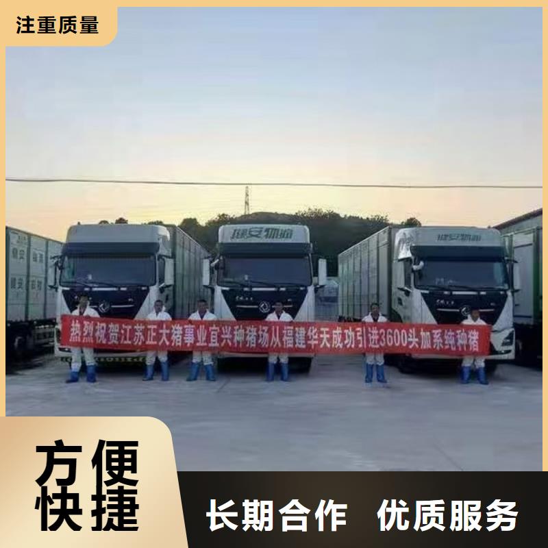 沭阳到庆阳畜禽运输-空调车解决方案