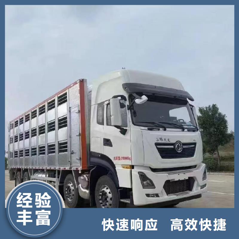 宿迁到黄山牛运输资质齐全