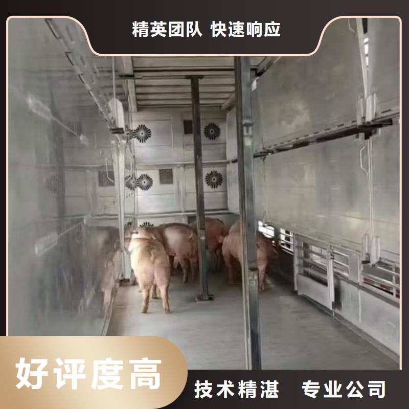 绍兴至泸州活禽运输恒温车随叫随到