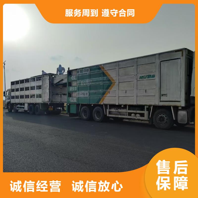 淮安至珠海生猪运输空调车经验丰富