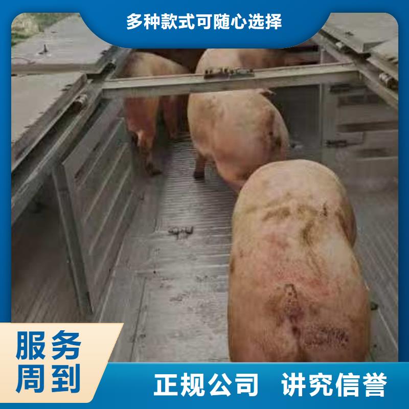 宿迁沭阳到德阳活禽运输体系完善