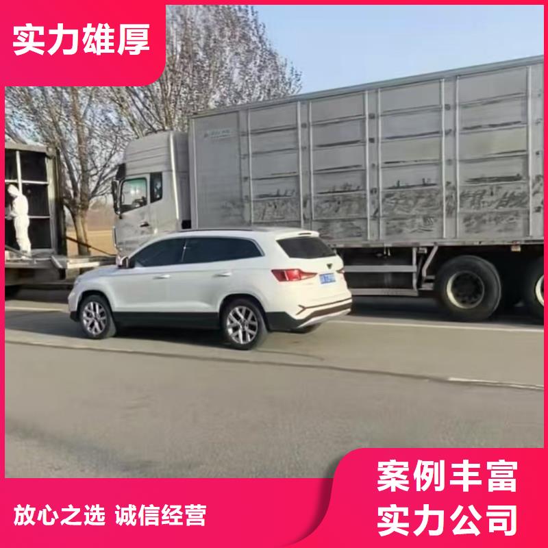 宿迁泗阳到襄阳猪牛羊运输正规物流