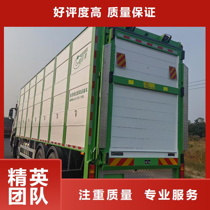 镇江到河北高栏车肥猪运输-专用车全程呵护