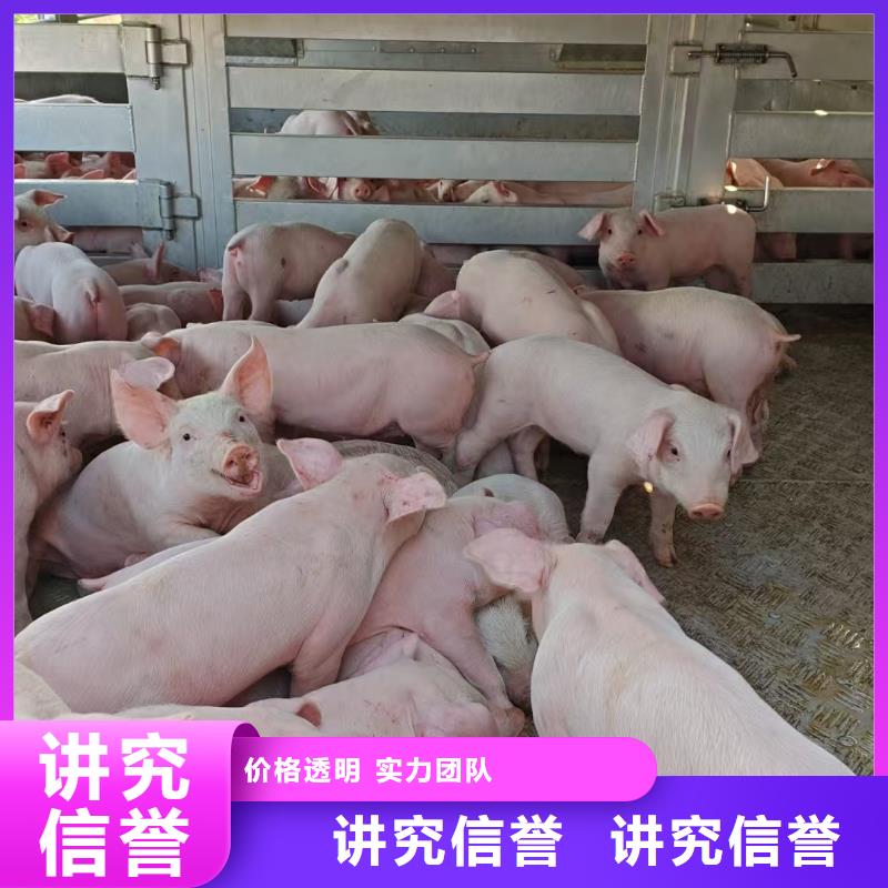 泗洪到马鞍山二育运输