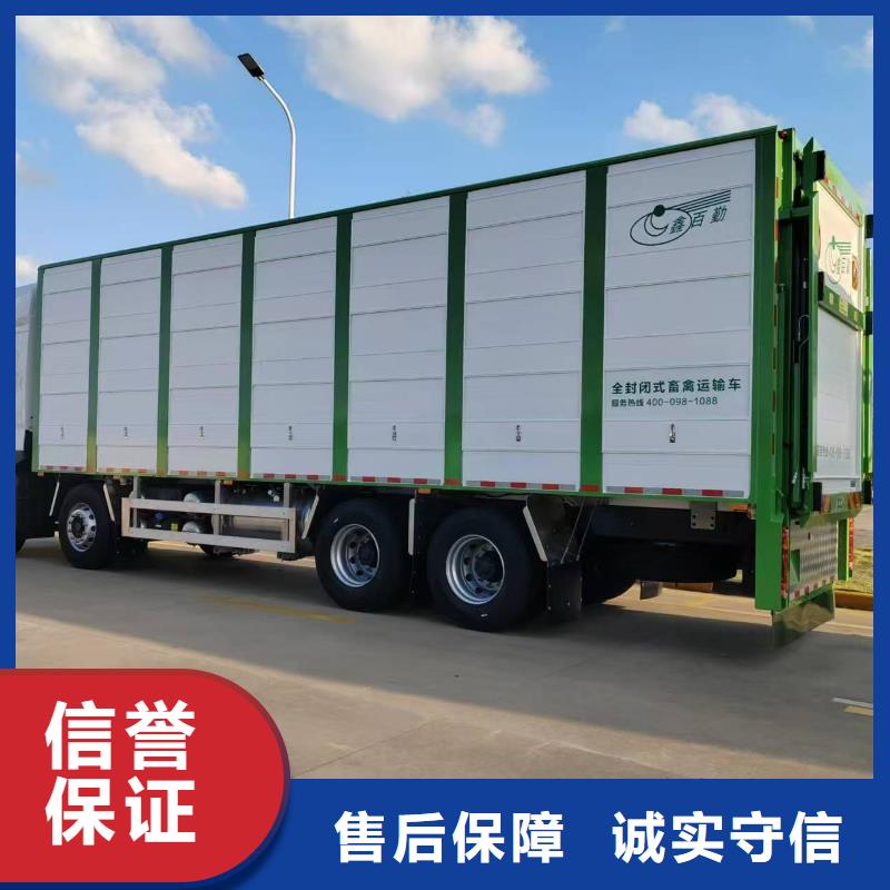 巢湖到阿拉善仔猪恒温车运输保障有力