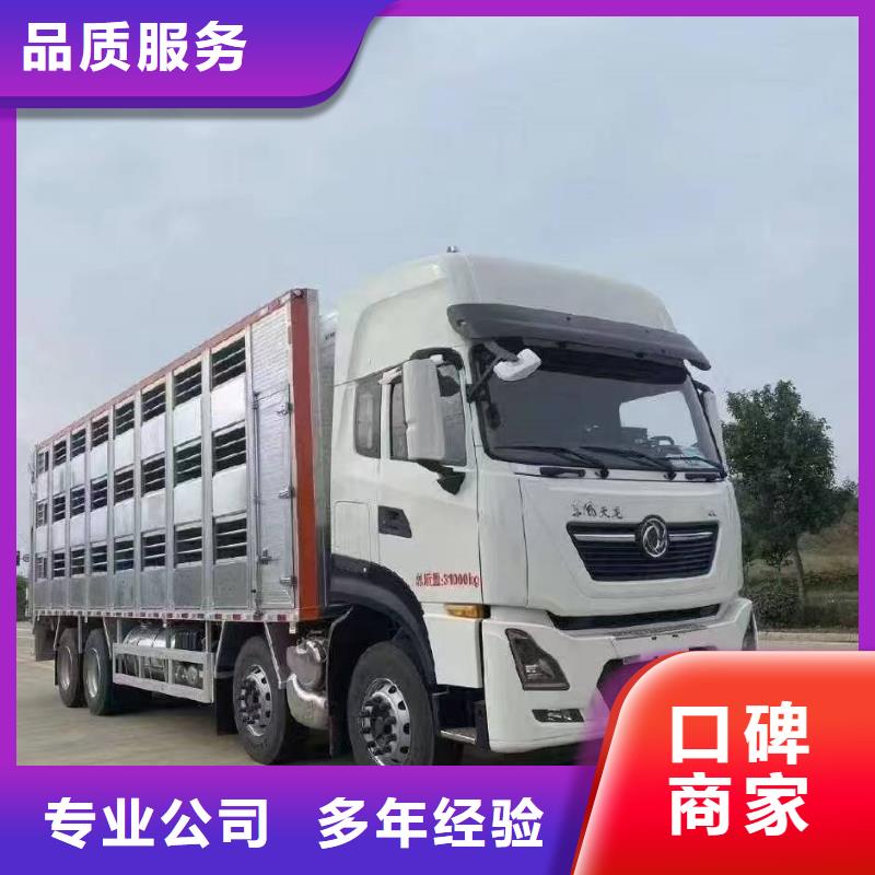 温州到汉中猪牛羊运输空调车技术精湛