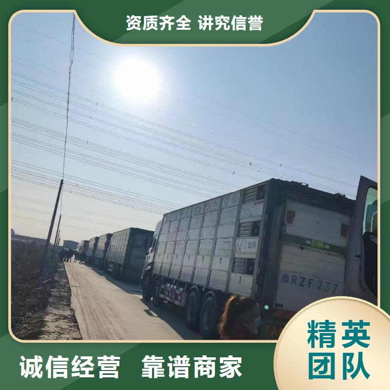 东营至太原猪笼车物流放心省心