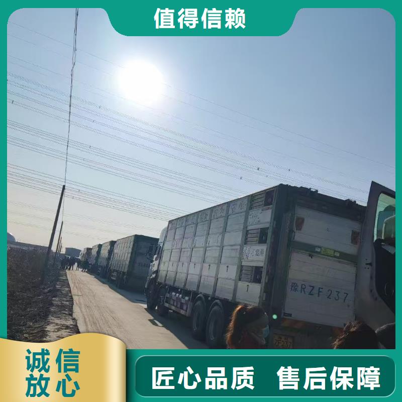 安庆到海北猪运输专业可靠