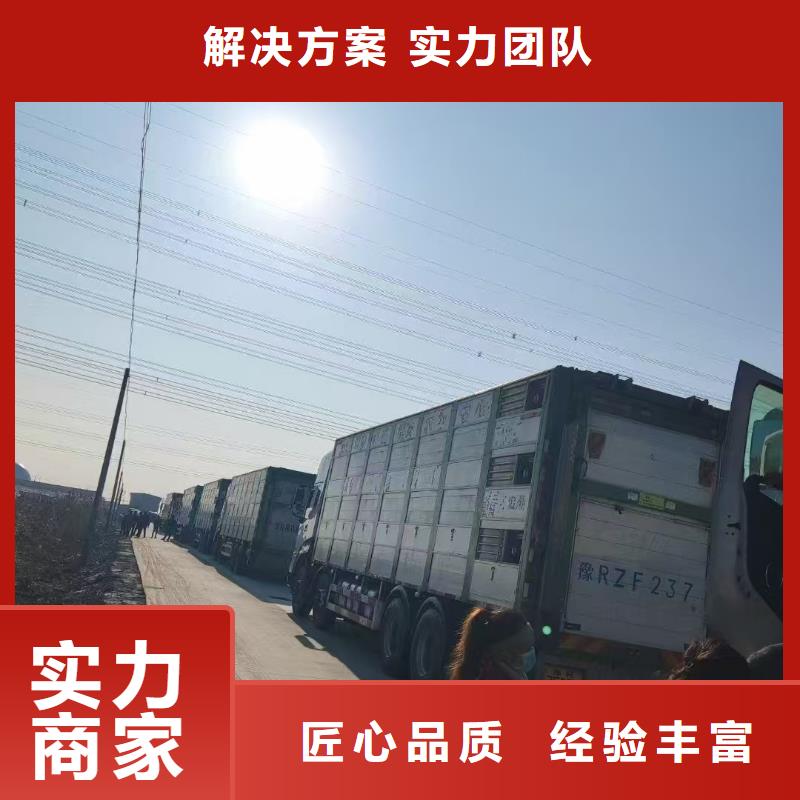 蚌埠到兰州肥猪运输空调车高性价比