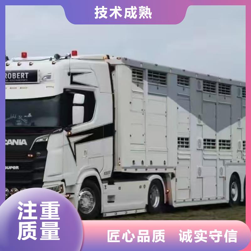 漯河到济南种猪运输空调车好评度高