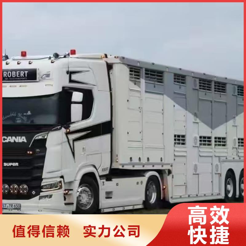 临沂到巢湖活禽运输空调车优质服务