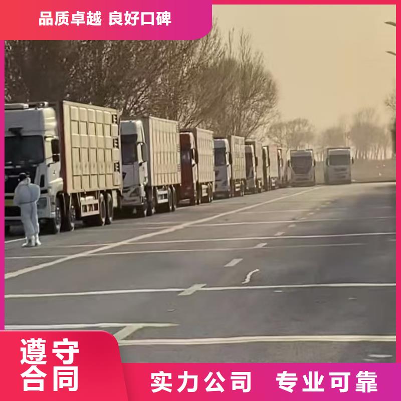 浙江到吕梁猪牛羊运输空调车快速响应