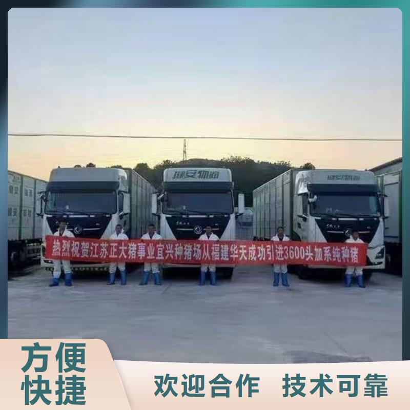 合肥到河北二育运输信誉卓著