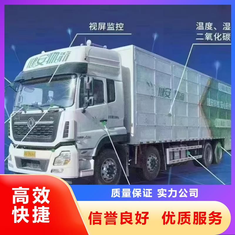 台州到邵阳猪牛羊运输空调车解决方案