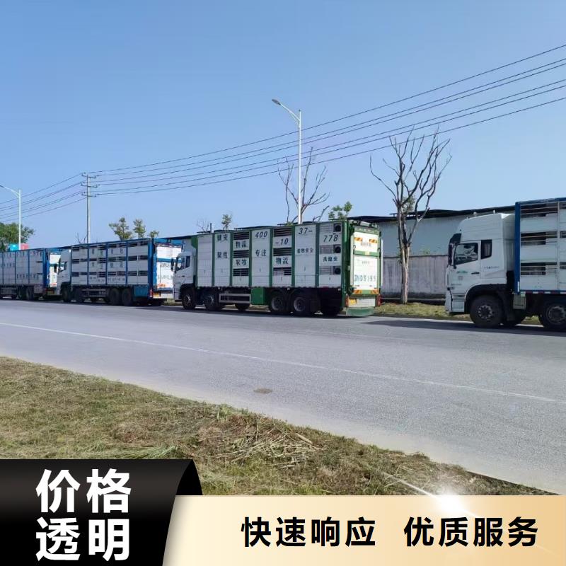 宿迁泗洪到昆明畜禽物流实力雄厚