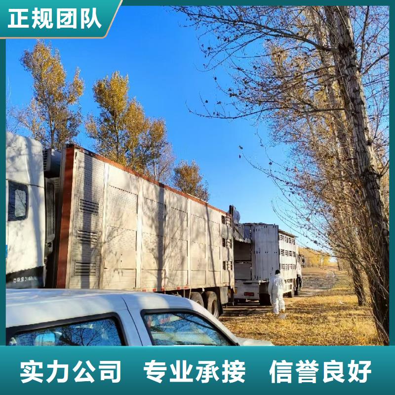 宿迁到生猪恒温车运输有条不紊厂家型号齐全