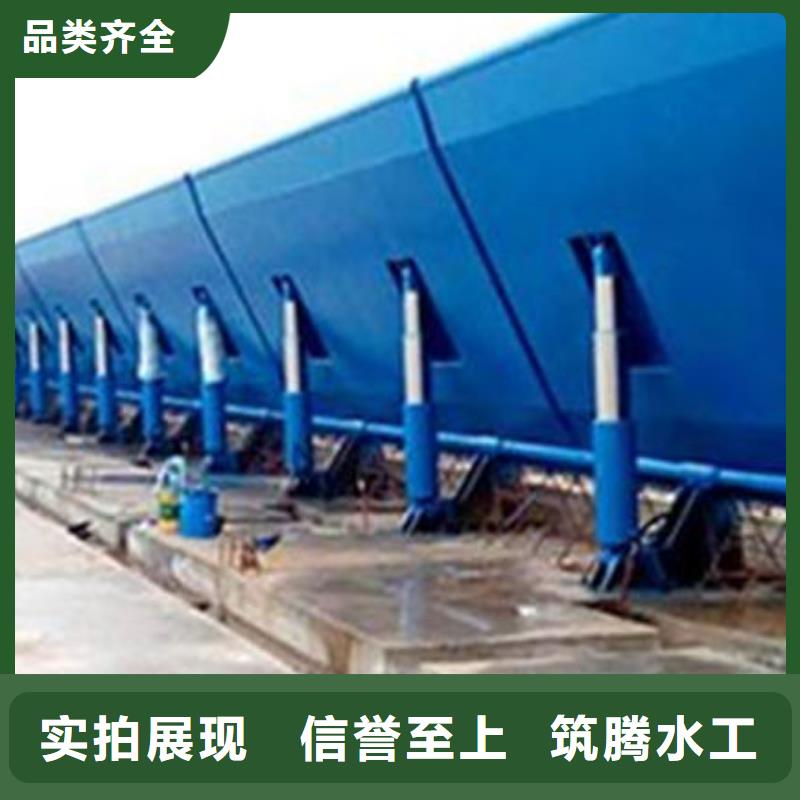 液压钢坝用心经营产品细节