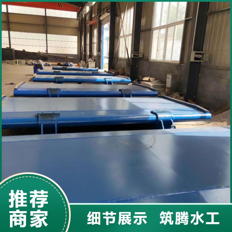 翻板闸门用心经营周边厂家