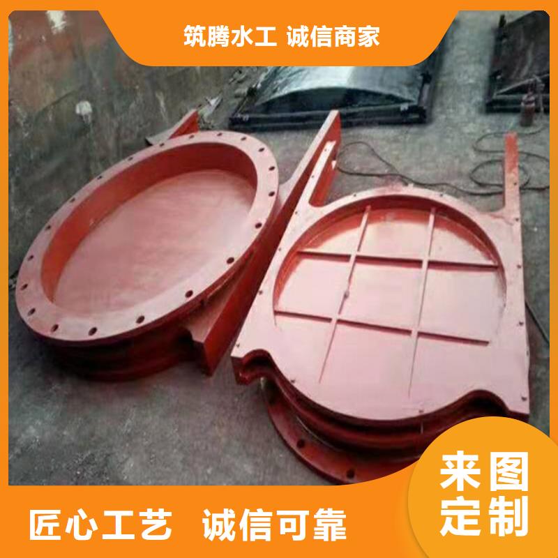 单向止水铸铁闸门用心经营本地区服务商