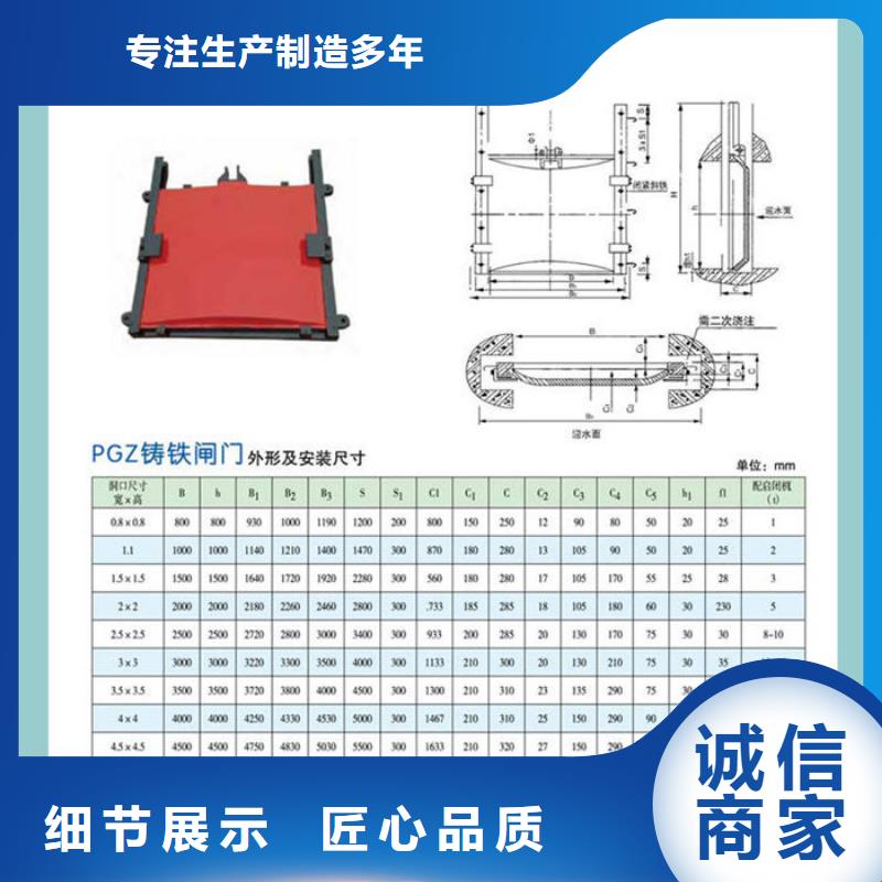 机闸一体式闸门诚信为本精心选材