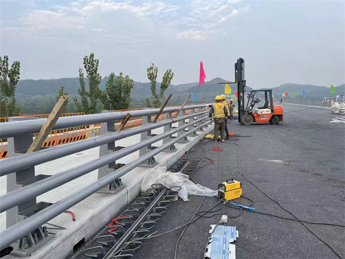 道路隔离护栏-道路隔离护栏厂家直发当地品牌