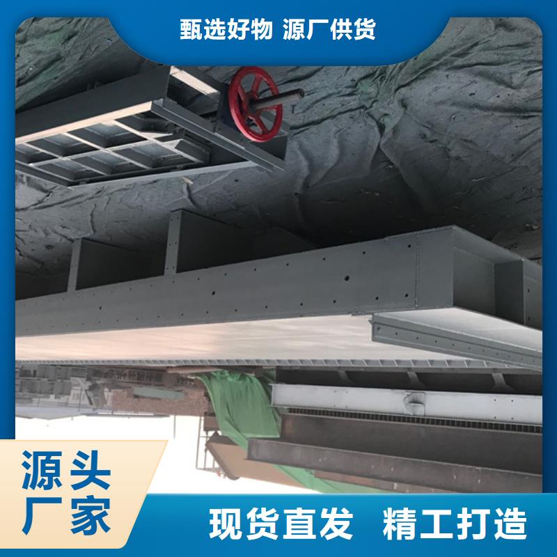 钢闸门铸铁拍门出货及时本地配送