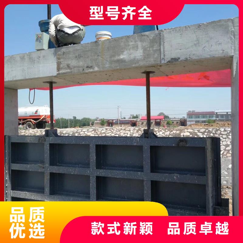 钢闸门,拍门源头工厂优势
