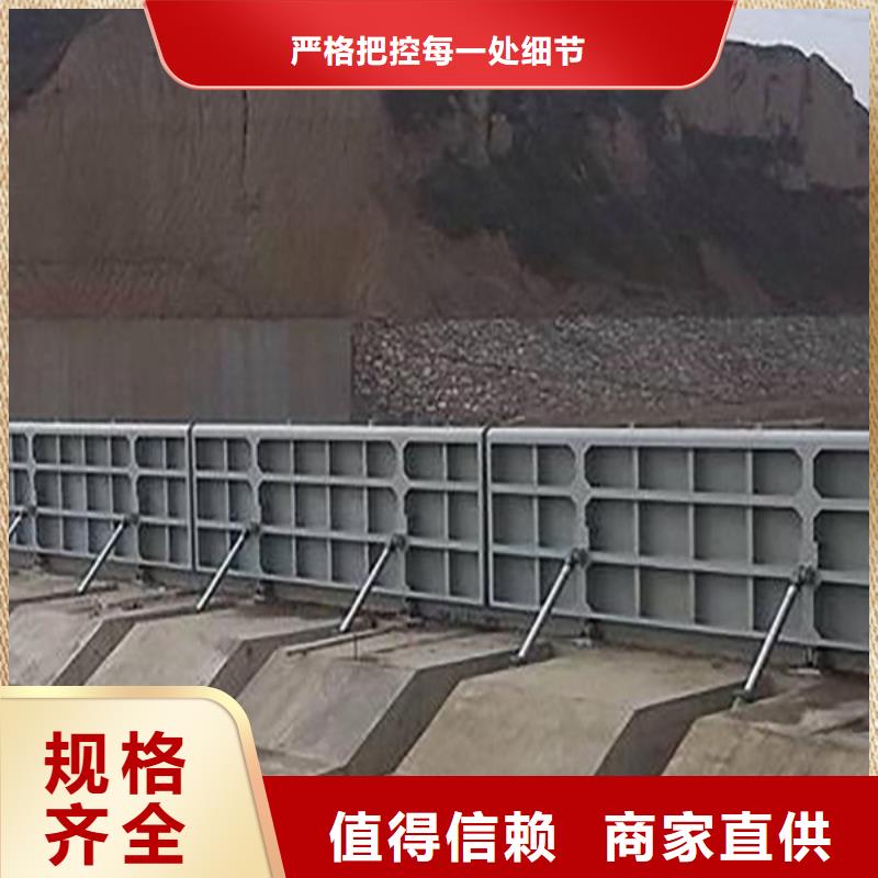 钢闸门格栅除污机服务周到出货快