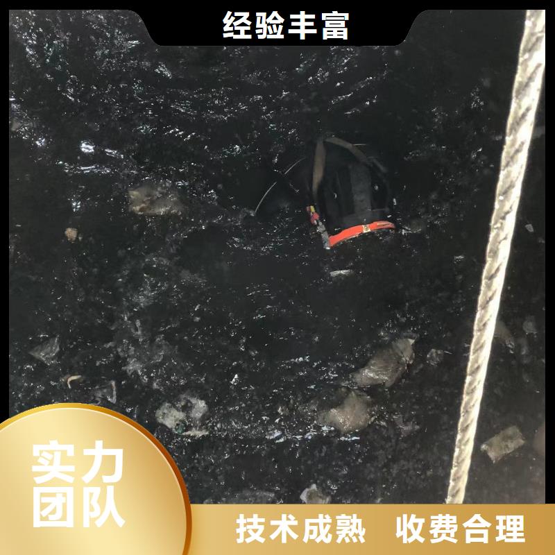 潜水作业-水下声呐定制化服务高性价比