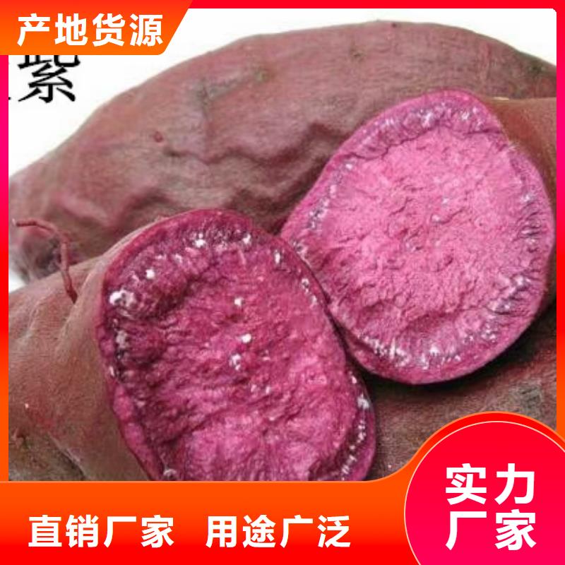 紫薯苗羽衣甘蓝粉闪电发货可放心采购