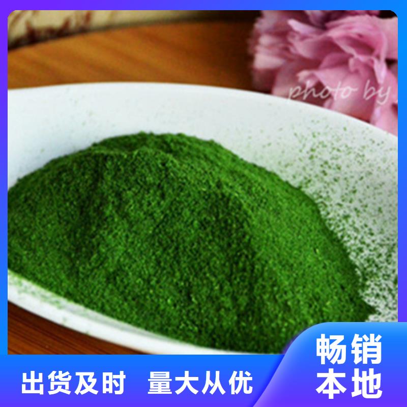 菠菜粉厂家报价打造行业品质