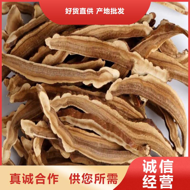 孢子油购买好产品价格低