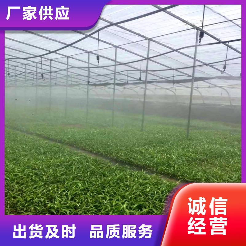 ​大棚管【温室骨架大棚管】每个细节都严格把关厂家技术完善
