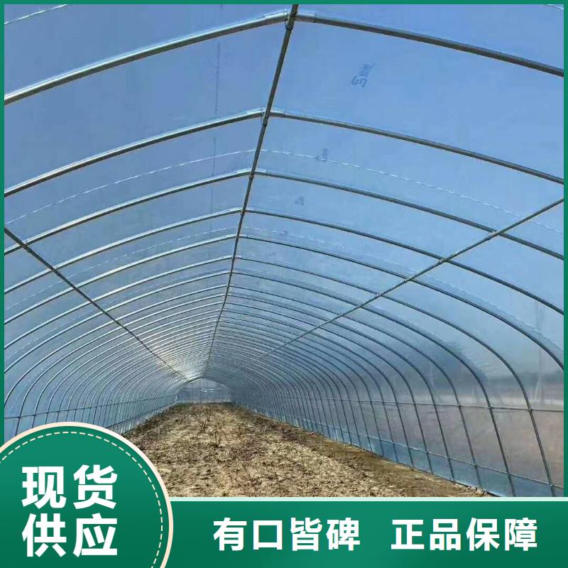 大棚管温室大棚管诚信为本细节严格凸显品质