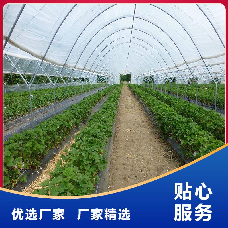 大棚管2温室大棚管批发货源产品参数