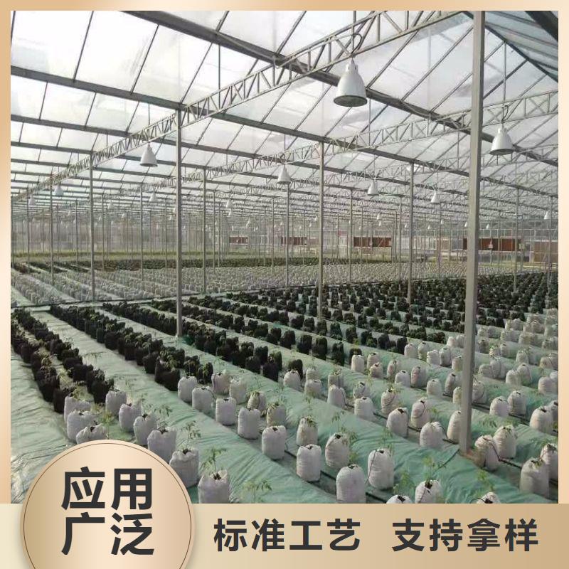 大棚管2智能温室大棚核心技术款式多样