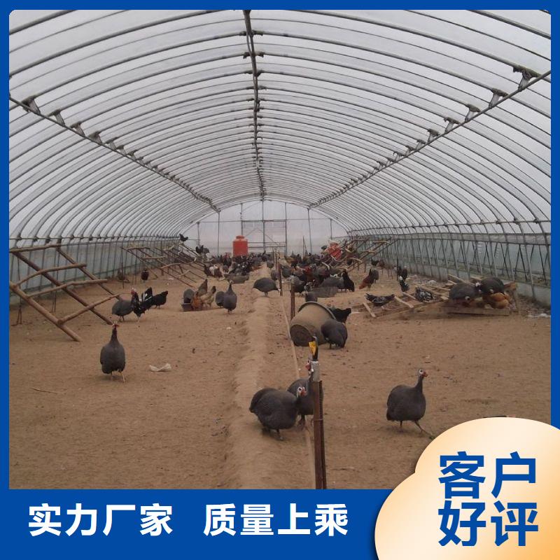 大棚管2温室大棚管研发生产销售拒绝伪劣产品