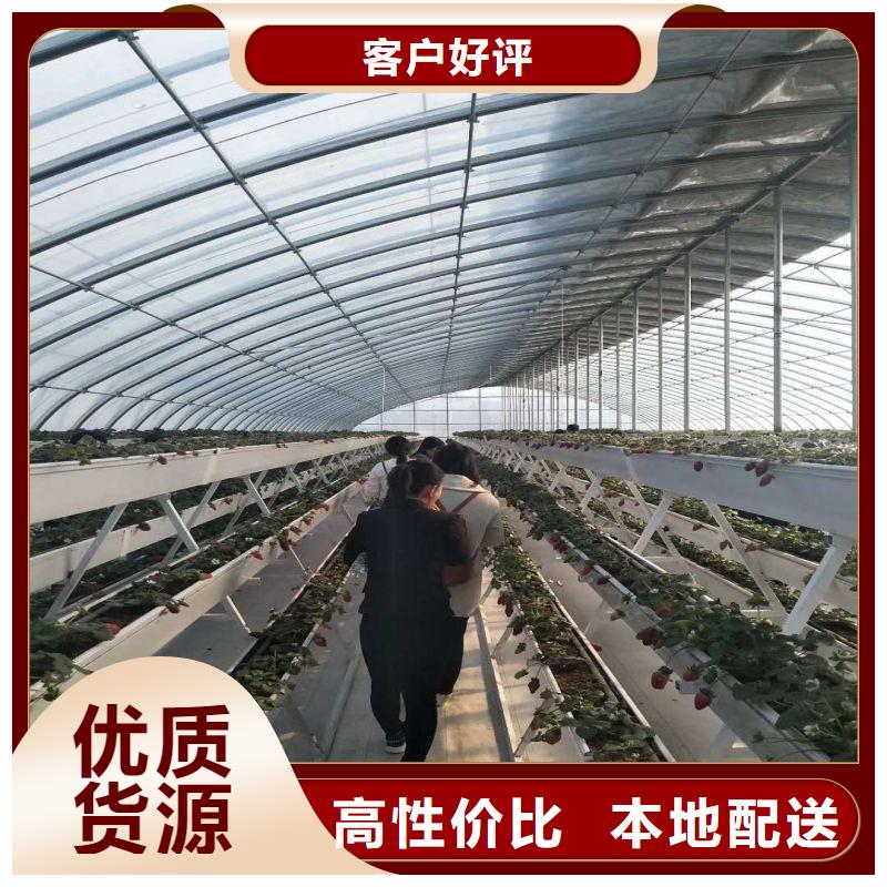 大棚管2_
蔬菜温室大棚管厂家技术完善生产安装