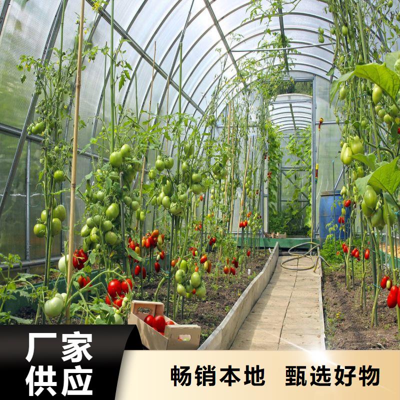 大棚管2_【连栋大棚管】生产加工N年生产经验