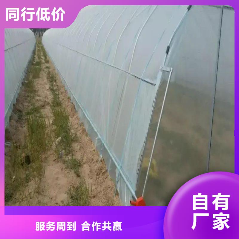 大棚管2
大棚管厂家每一处都是匠心制作设计合理