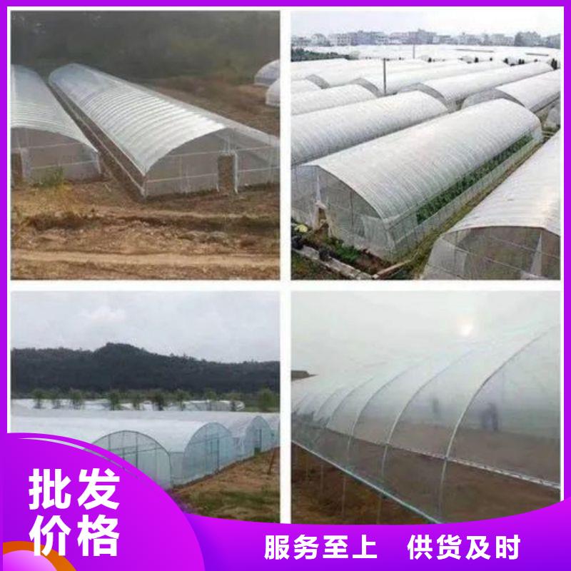 ​大棚管2农业养殖大棚管厂家直销货源充足多种优势放心选择