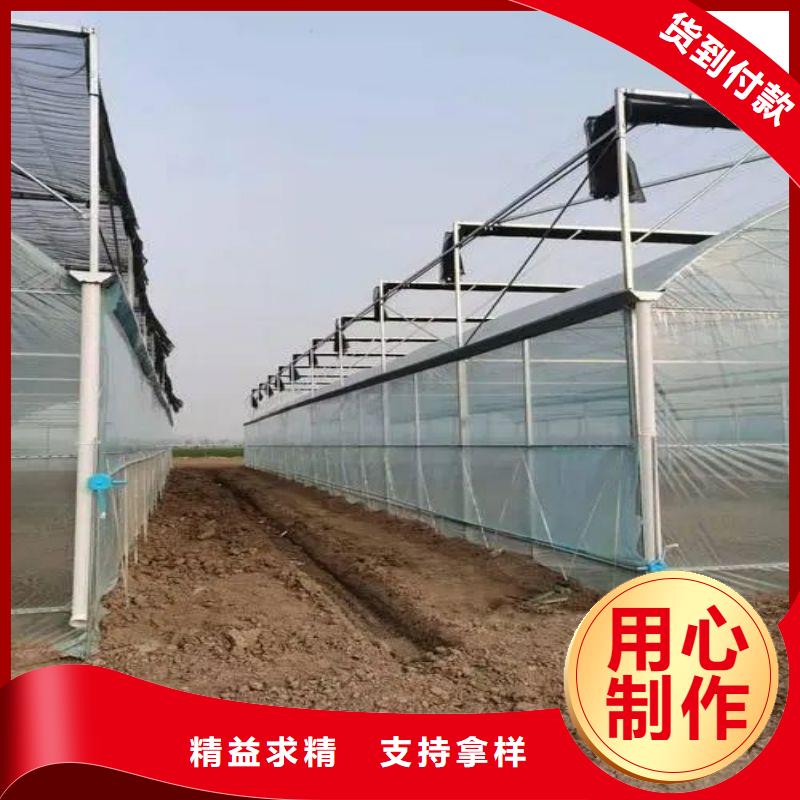 大棚管2【温室薄膜大棚】品质信得过当地品牌