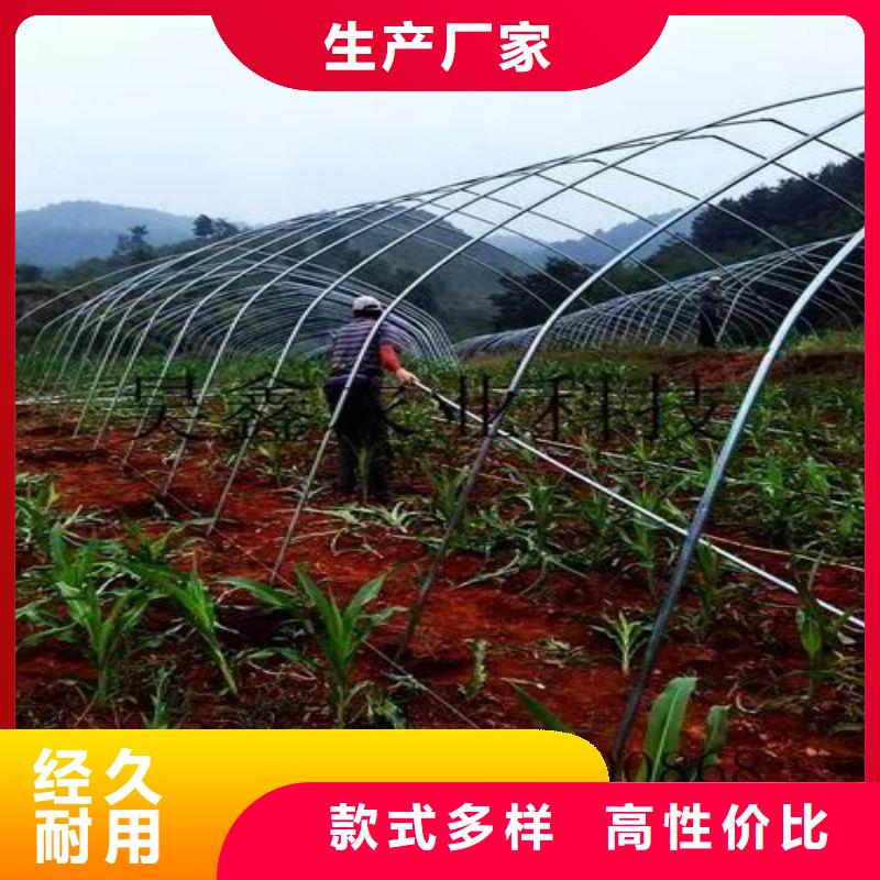 大棚管2-椭圆管温室大棚从厂家买售后有保障来图加工定制