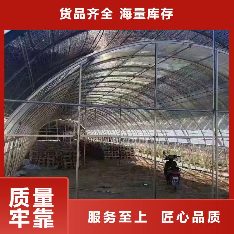 大棚管农业养殖大棚管品质保证实力优品