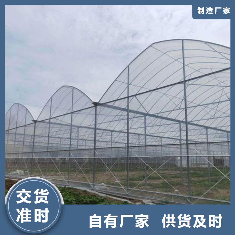 大棚管
大棚管追求细节品质今日价格