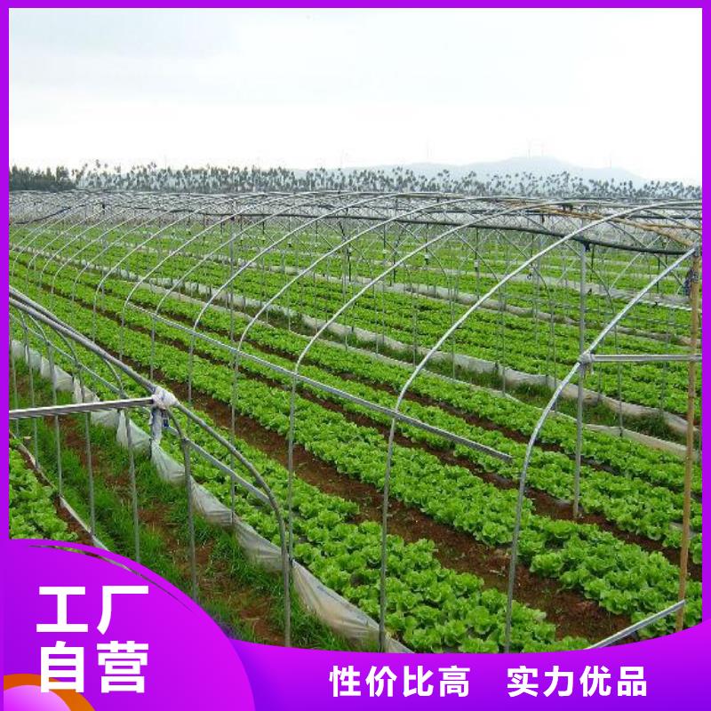 【大棚管
镀锌大棚管货源直供】专业品质