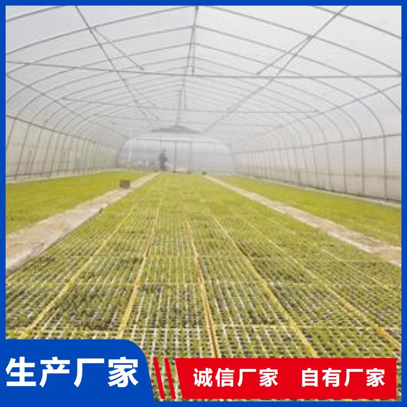 大棚管方矩管质量上乘购买的是放心