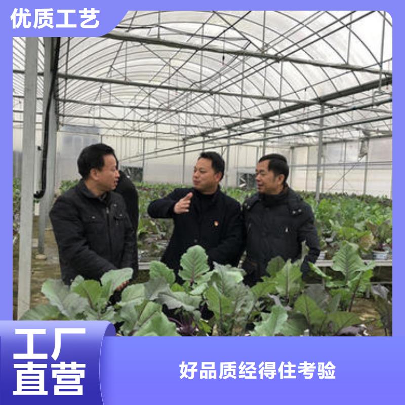 大棚管,【大棚管厂家】买的是放心款式新颖
