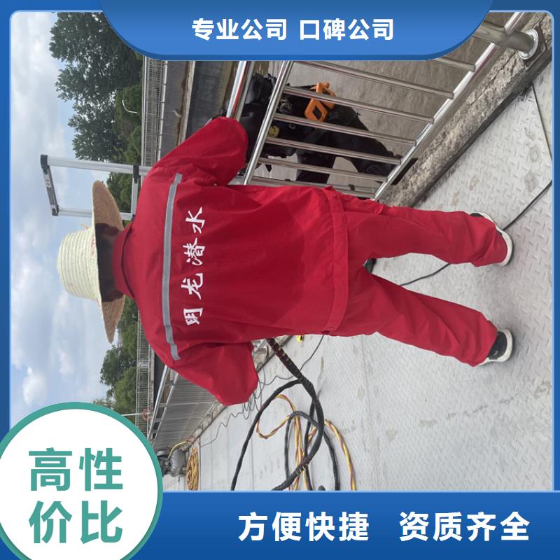 水下封堵公司附近打捞队
「苏龙潜水队」实力强有保证